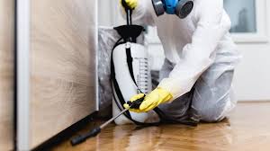 Best Real Estate Pest Inspections  in Bull Mountain, OR